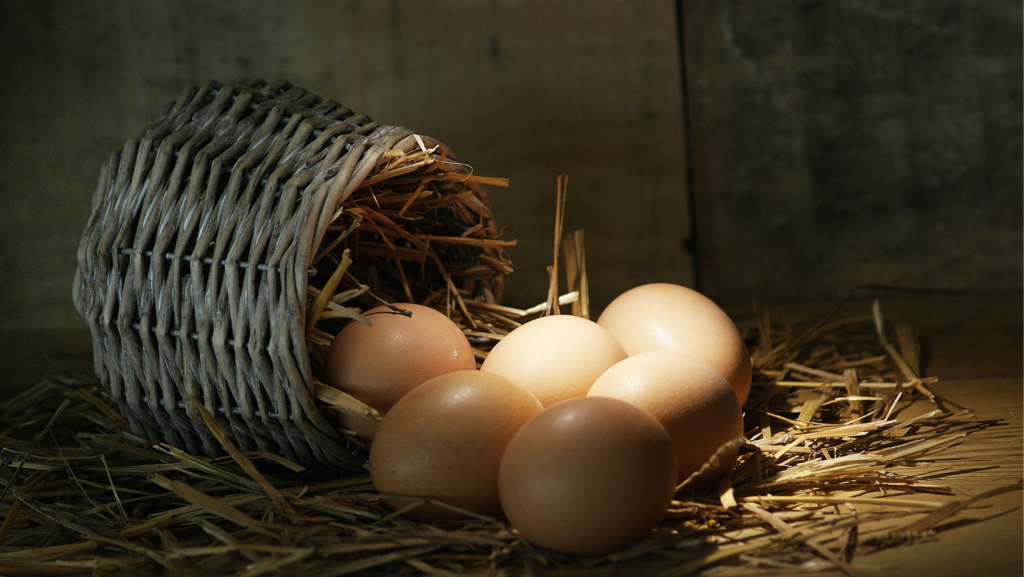 eggs spilling from a basket