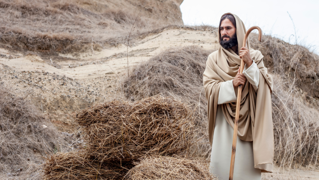 man portraying jesus christ wearing shawl holding stick standing among hay
