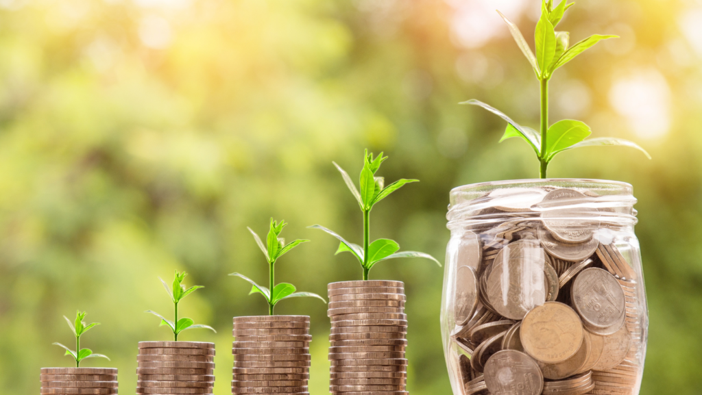 plants growing from piled coins