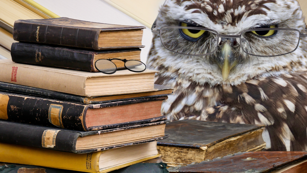 stack of old books alongside an owl who is wearing glasses