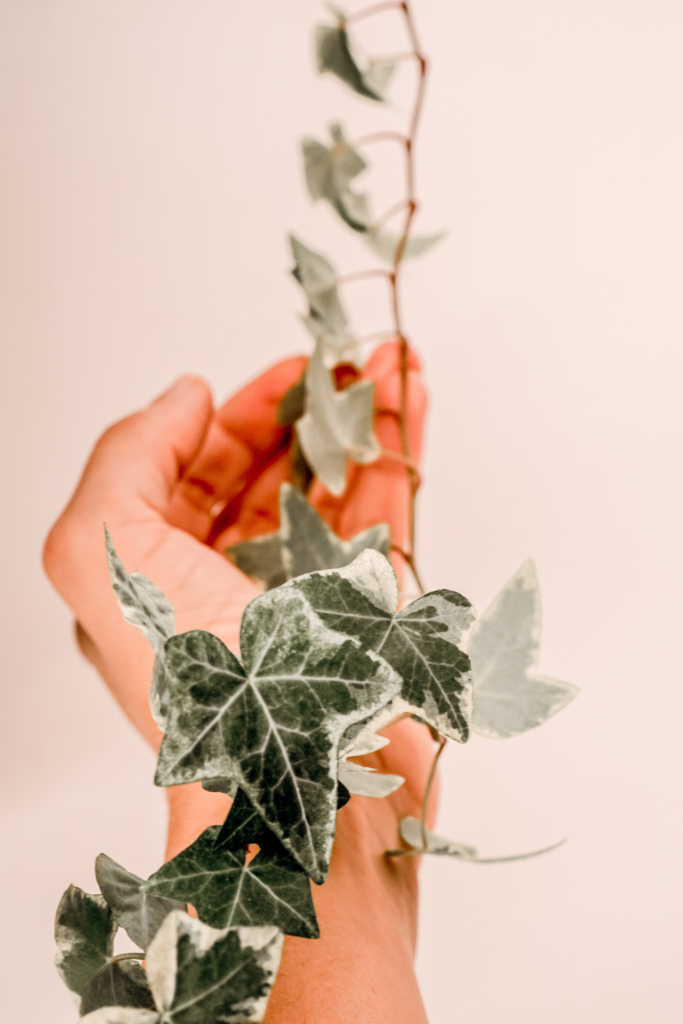 vine branches wrapped around a hand