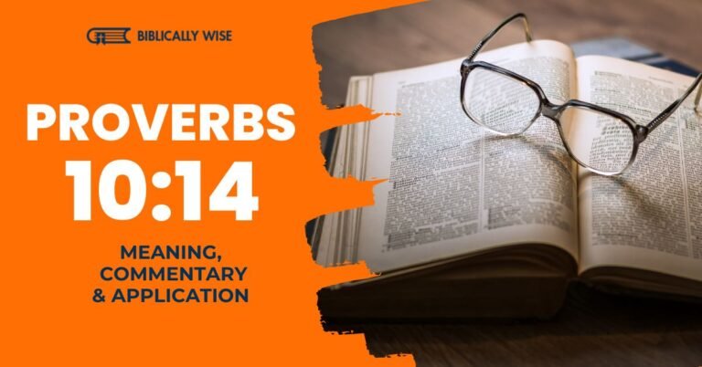 proverbs 31 10 14 meaning