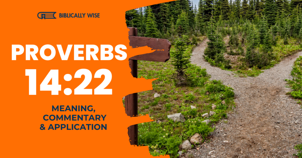 Proverbs 14 22 Meaning Astray In Evil Guided By Good Biblically Wise