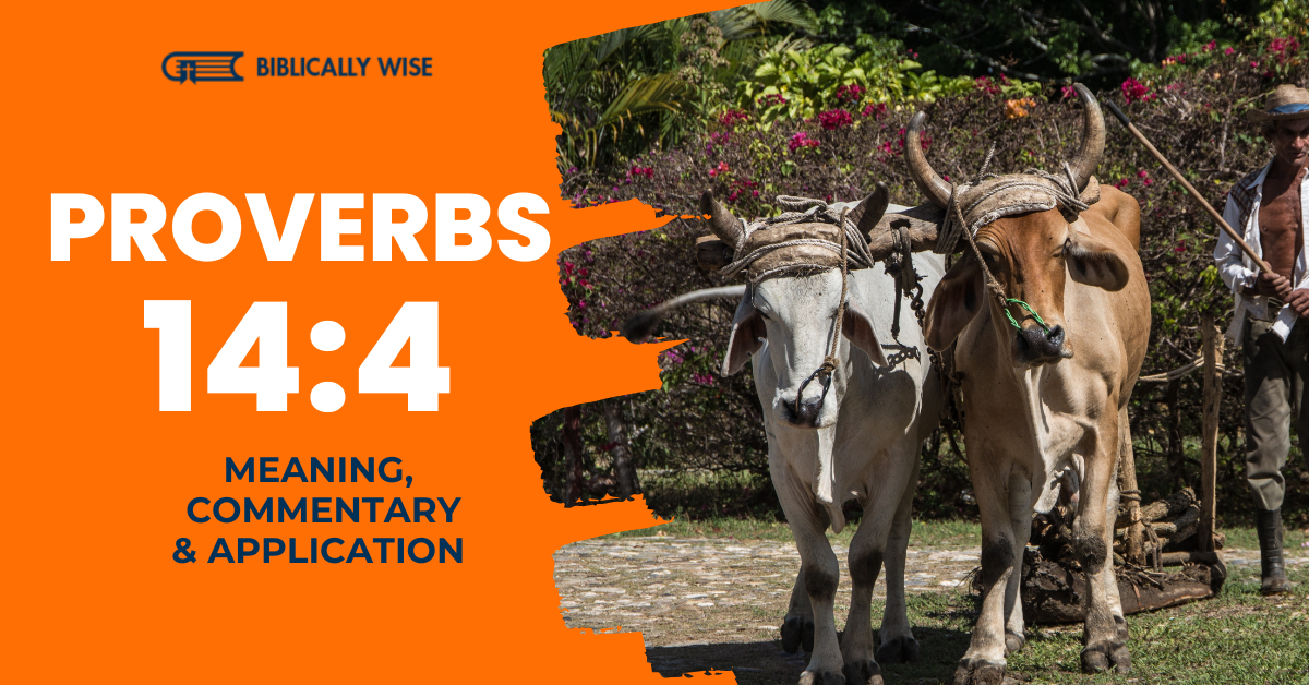 Proverbs 14 4 Meaning Oxen s Strength Brings Abundant Crops proverbs-14-4-meaning-oxen-s-strength-brings-abundant-crops